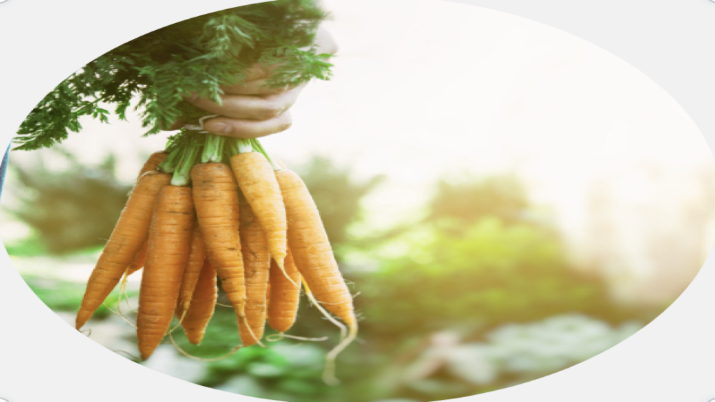 Alimentos contaminados y las deficiencias nutricionales