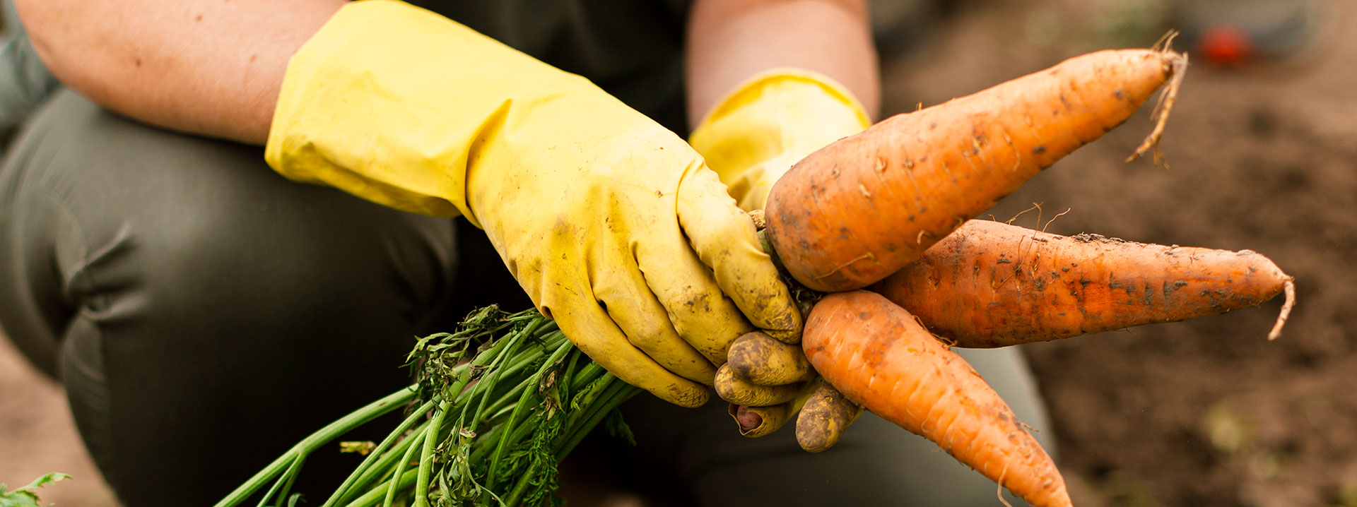 Coach de huertas banner